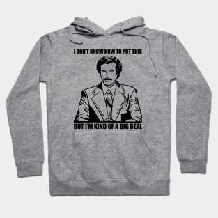 Ron Anchorman, - Sarcastic Hoodie